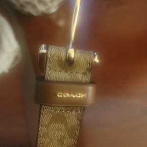 COACH BELT